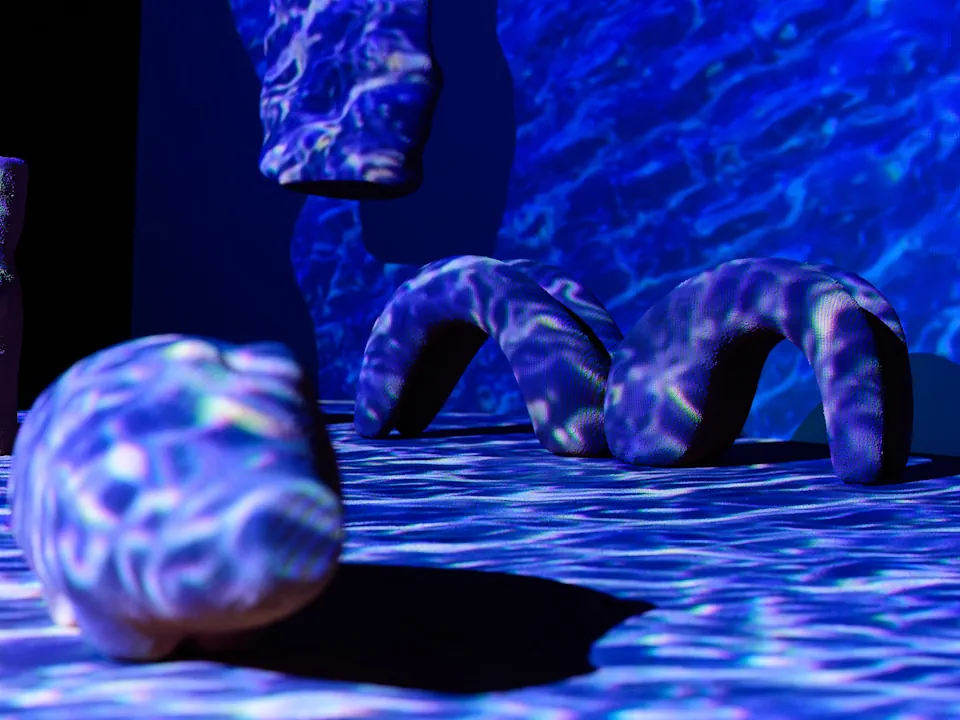 Liu Yu: Özönvíz installáció